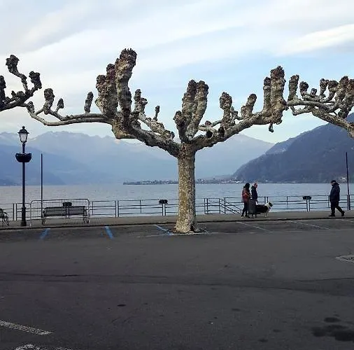 Apartment La Perla Del Centro Di Perledo