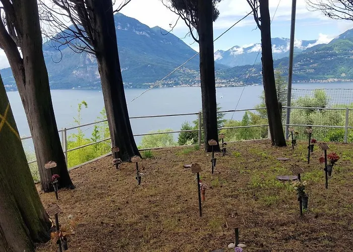 La Perla Del Centro Di *